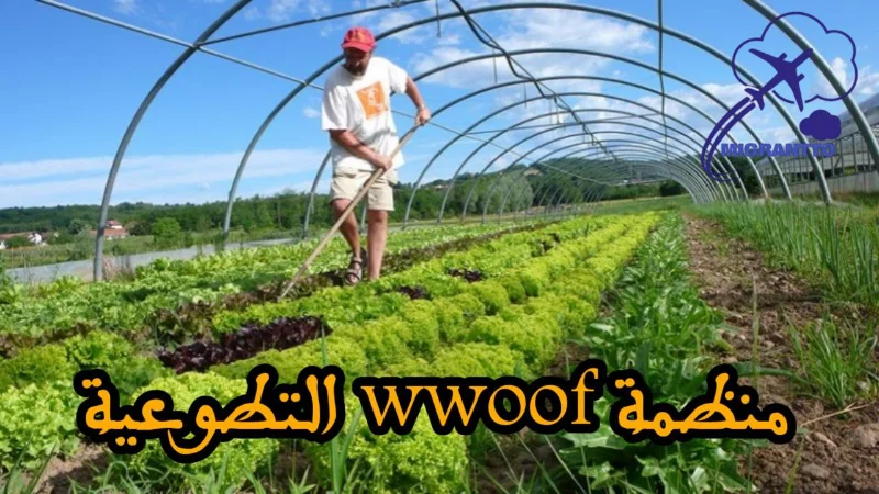 منظمة WWOOF التطوعية
