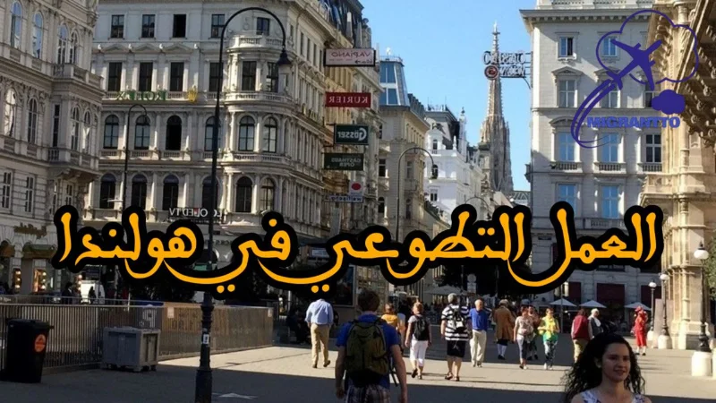 العمل التطوعي في هولندا