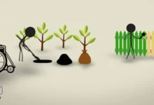 متطلبات التطوع في أوروبا للعرب