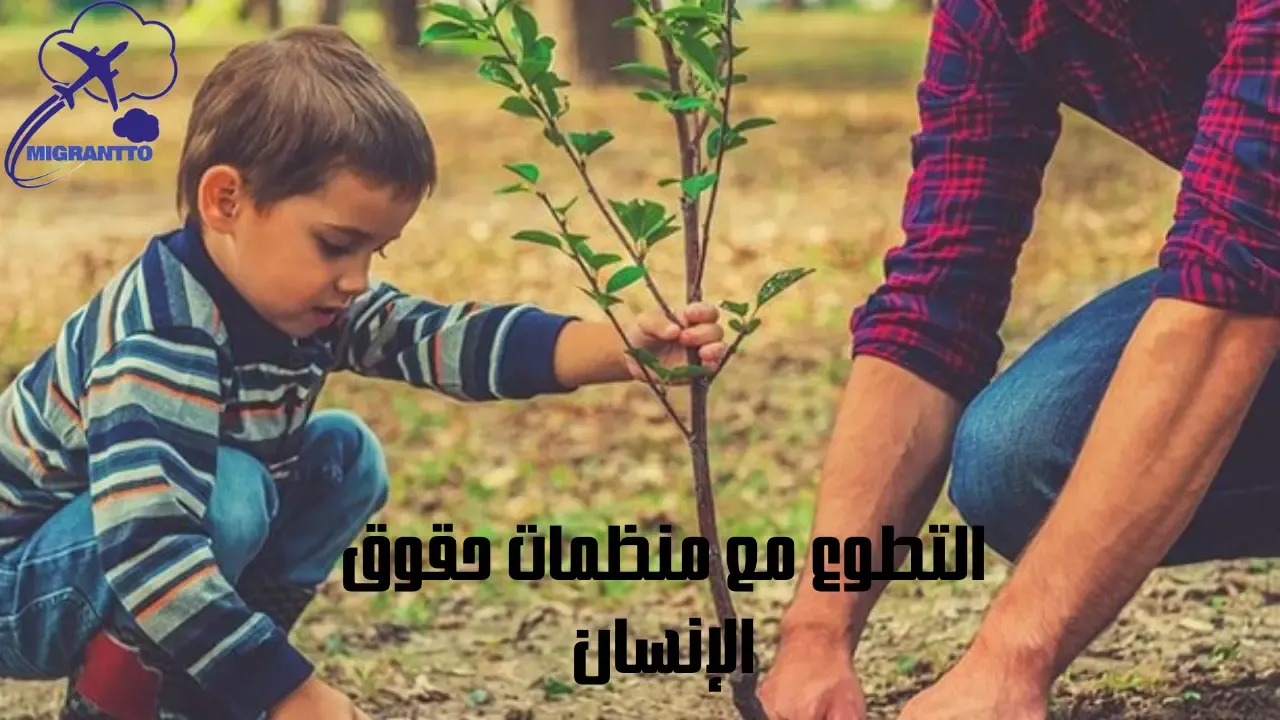 التطوع مع منظمات حقوق الإنسان